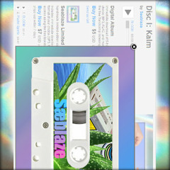 "ZANTETSUKEN II"  >> 【Disc 1: Kalm EP // Hyperboloid Rec.】