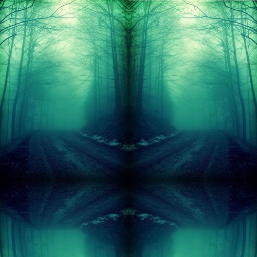 Can't See The Forest For The Trees (Preview)