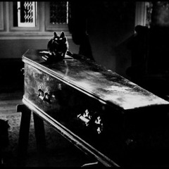 10 Black Coffins - Caught In Your Web