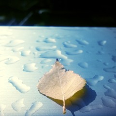 Liebe Leben Zeit Und Gehen