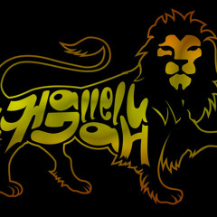 Hallelu'JAH - Society (Steppa Sound Remix)