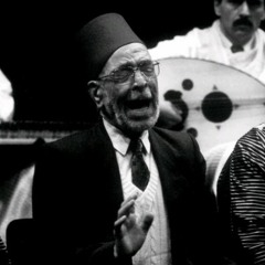 صبري مدلل ما احتيالي