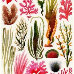 Shakers's Party Down