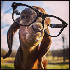 Hey Brother (JesseVince Mashup) - Avicii vs Dannic Vs Sick Individuals Vs PURESANG