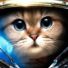 Space Cat