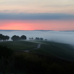 أغيب وذو  اللطائف لا يغيب .... مشارى راشد العفاسى