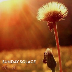 Sunday Solace Vol. 21