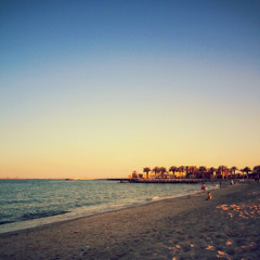 غريبه هالدنيا