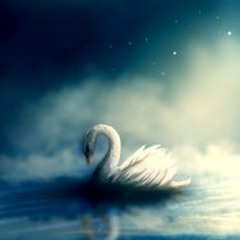 Mizuumi no hakuchoo no kanashii o furo - 湖の白鳥の悲しいお風呂 ( The sad bath of swan on lake )