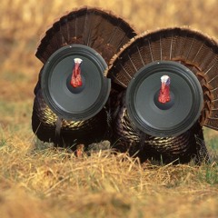 Bassotronics - Gobble My Bass