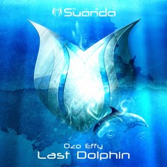 Ozo Effy - Last Dolphin (Original Mix)