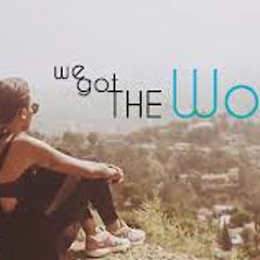 Icona Pop - We Got The World (WILL J bootleg)