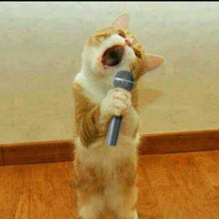 KPKB-王杰 - 我是真的爱上你