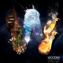 Woodini - Jungle On Fire (Absoul Project's Reprise)