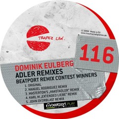 Dominik Eulberg - Adler (Franz Tonträger Remix)