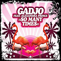 Gadjo - So Many Times (VMC & Leandro Moraes 2014 Remix)