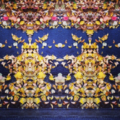 Bunk Buddha-Fractal Surfing (plaegod remix)