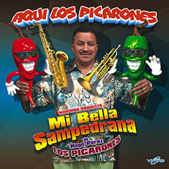 Marimba Orquesta Mi Bella Sampedrana - Gangnam Style