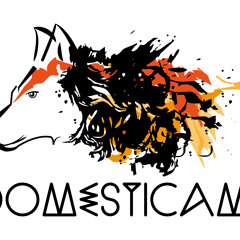 Domesticame