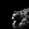 Elevator Muzik-Dsheez (J Cole - Power Trip Beat)