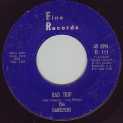 Bad Trip - Darelycks