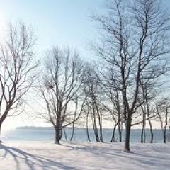 First Snow - Bo Holten