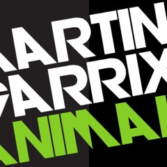 Martin Garrix - Animals (Bülent Gürbüz Mix)