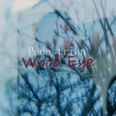 Pedestrian - Wood Eye