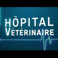 Theme (Hôpital Vétérinaire)