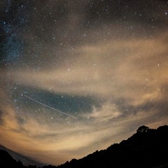 - GOLD DUST (HEDS SHY FX NO DNB EDIT)(8)
