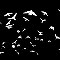 KlMN - Birdhouse ( November 2013 Podcast )