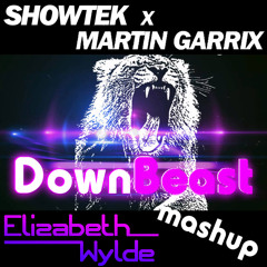 DownBeast (Showtek x Martin Garrix) Elizabeth Wylde Mashup **free download**