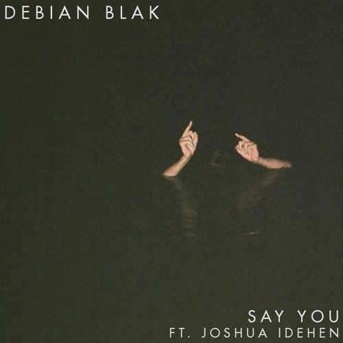Say You ft Joshua Idehen