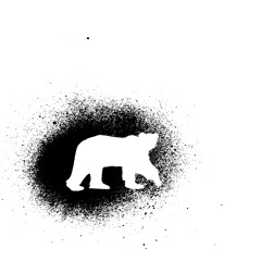 Entire new polar bear album squeezed into 12 seconds