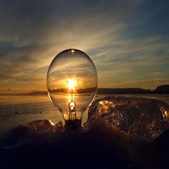 الحوت والعنكبوت -نصر الدين طوبار