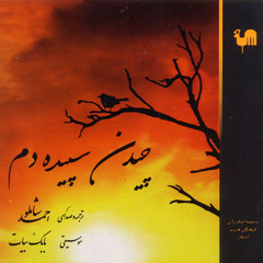 شاملو بابک بیات