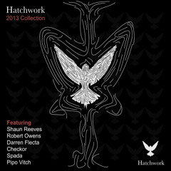 'I Knew You Ft Robert Owens' (Darren Flecta Remix)