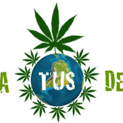 Cultiva Tus Derechos - Diezhel Eme (Prod.By.MakingMusic)