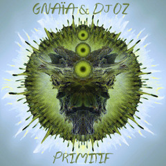 GNAÏA & Dj OZ - Primitif (preview Live version)release soon - 2015 on Bmss records