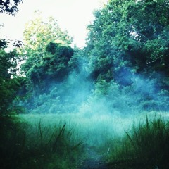 Cheeky Forty - 1st Insight