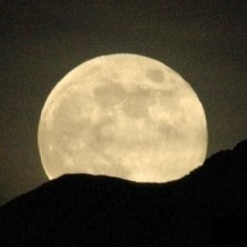 Recorded Live @ Moontribe - November 17,  2013