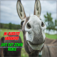 Coral Voces Blancas - Mi Burrito Sabanero (Just Out Zonin Remix)