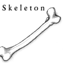 Skeleton