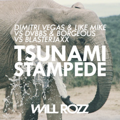 Dimitri Vegas & Like Mike vs. DVBBS & Borgeous vs. Blasterjaxx - Tsunami Stampede (Will Rozz Mashup)
