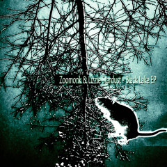 Zoomonk & Lizzie Stardust - Spice Dust Girl