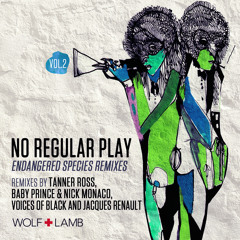 No Regular Play - Nameless (Voices of Black Remix) [Preview]