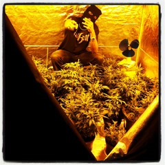 Da Gucc' - #LuXe&Cra$$ by GDKR