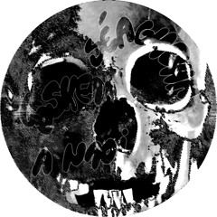 Lo Shea - Horizons (Snippet) - From Seaghdha " A Naoi " SD009