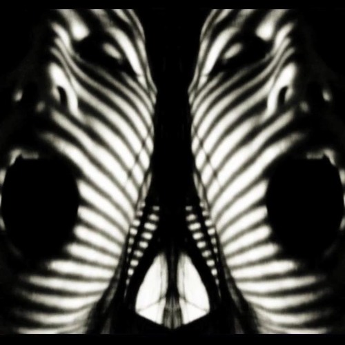MATER SUSPIRIA VISION - Raum Der Schatten [Video Edit] ATEM LP, 2013