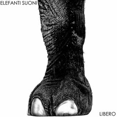 ELEFANTI SUONI.
